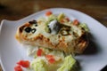 Large Burrito on a white plate Royalty Free Stock Photo