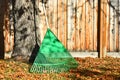 Large Green Rake and Autumn Leaves