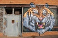 Interesting street art with large, angry lion`s head on old brick wall of abandoned building, Rochester, New York, 2017