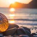 image of the large nautilus shell and ordinary shell laying on the beach in the waves of the ocean at golden hour. Royalty Free Stock Photo
