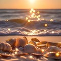 image of the large nautilus shell and ordinary shell laying on the beach in the waves of the ocean at golden hour.