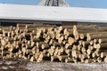 Stack of logs by sawmill Royalty Free Stock Photo