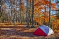 Late fall forest with red and white tent