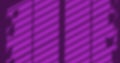 Image of leaf pattern in window on purple background Royalty Free Stock Photo
