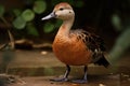 Image of a lesser whistling duck on natural background. Wild Animals. Winged animal. illustration. Generative AI