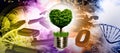 Image with a light bulb inside which a tree is symbolically placed, and the crown of the tree looking like a heart Royalty Free Stock Photo