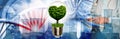 Image with a light bulb inside which a tree is symbolically placed, and the crown of the tree looking like a heart Royalty Free Stock Photo