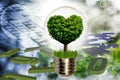 Image with a light bulb inside which a tree is symbolically placed, and the crown of the tree looking like a heart Royalty Free Stock Photo