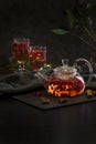 Image with lingonberry tea Royalty Free Stock Photo