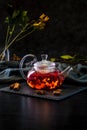 Image with lingonberry tea Royalty Free Stock Photo