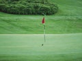 Image of little black bird on golf course sitting next to red flag Royalty Free Stock Photo