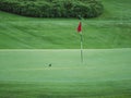 Image of little black bird on golf course sitting next to red flag Royalty Free Stock Photo