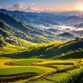 The Longji rice terraces are in China.
