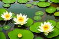 Lotus flower at Viet Nam made with Generative AI