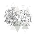 Image of Low poly elephant isolated and triangle background.