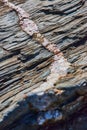 Macro of mineral quartz vein going through layers of rock