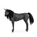 Image of a magical black unicorn isolated on white background