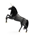 Image of a magical black unicorn isolated on white background