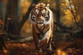 Image of a majestic tiger standing in the middle of the forest. Wildlife Animals