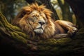 Image of male lion sleeping lying in the forest. Wildlife Animals