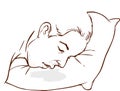 An image of a Man drooling on his pillow