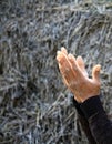 Praying with hands together stock photo