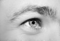 Image of man`s blue eye Royalty Free Stock Photo