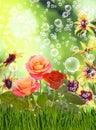 Image of many flowers in the grass against the sky background closeup Royalty Free Stock Photo