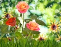 Image of many flowers in the grass against the sky background closeup Royalty Free Stock Photo