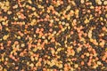 Image of many lentils close up