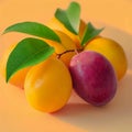 Image Marian plum allure resembles plum, tastes like mango on yellow