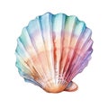 Marine colourfull sea shell watercolor illustration, marine animals clipart