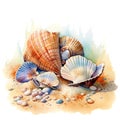Marine colourfull sea shells watercolor illustration, marine animals clipart
