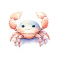 Marine crab watercolor illustration, marine animals clipart