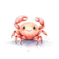 Marine crab watercolor illustration, marine animals clipart