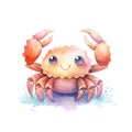 Marine crab watercolor illustration, marine animals clipart