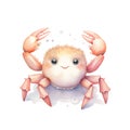 Marine crab watercolor illustration, marine animals clipart