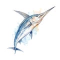 Marine sail fish watercolor illustration, marine animals clipart