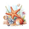 Marine star fish with sea shells and corals watercolor illustration, marine animals clipart
