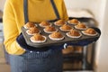 Image of midsection of african american woman with tray of freshly made cupcakes