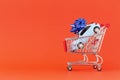 Image of miniature shopping trolleys on red background. Miniature car in shopping cart. Concept shopping and sale. Royalty Free Stock Photo