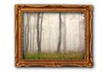 Image of misty forest in painting frame Royalty Free Stock Photo