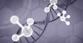 Image of molecules and data processing over dna strand on grey background Royalty Free Stock Photo