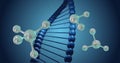 Image of molecules moving over dna strand spinning Royalty Free Stock Photo