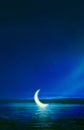 night moon Royalty Free Stock Photo