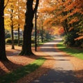 Image of Morning blur in autumn park. Orange red maple leaves. Yellow forest tree on background. Fall season nature Royalty Free Stock Photo