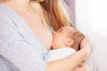 Image of the mother breastfeed little infant boy Royalty Free Stock Photo