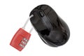 Image of a mouse mith a lock in front on white background with space for text Royalty Free Stock Photo