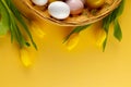 Image of multi coloured easter eggs in basket with yellow tulips and copy space on yellow background Royalty Free Stock Photo