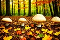 Mushroom in the fall rorest. Forest magic made with Generative AI Royalty Free Stock Photo